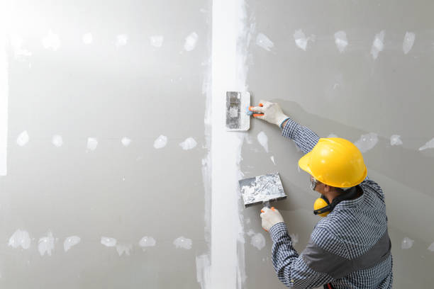 Best Mold Remediation for Healthcare Facilities  in Granite City, IL