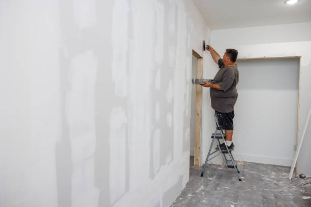 Best Mold Remediation for Rental Properties  in Granite City, IL