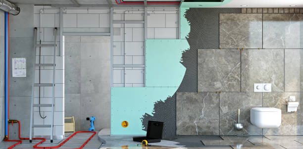 Best Attic Mold Removal  in Granite City, IL