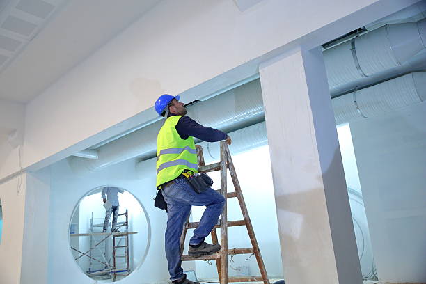Best Industrial Mold Remediation  in Granite City, IL