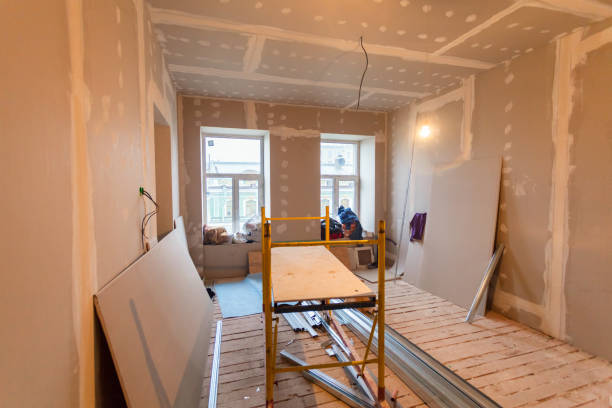 Best Mold Removal for HVAC Installations  in Granite City, IL
