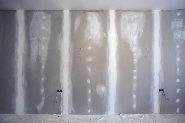 Best Dehumidification Services  in Granite City, IL