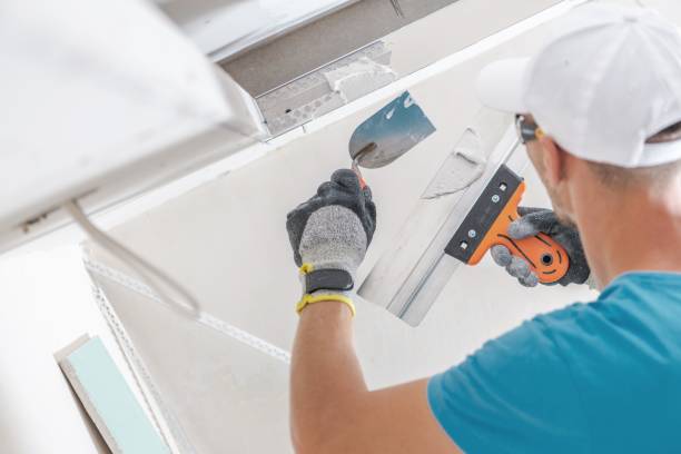Forensic Mold Investigation in Granite City, IL